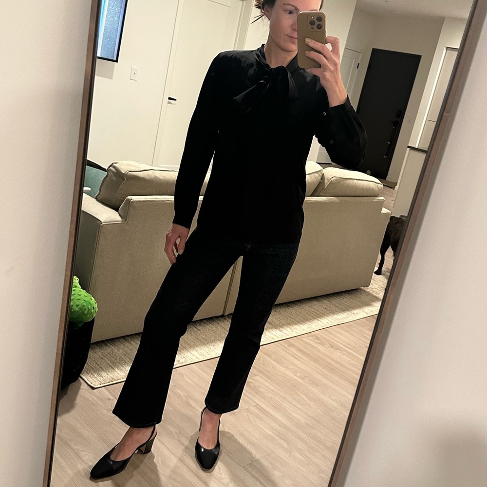 Greylin Silk Top with Bow